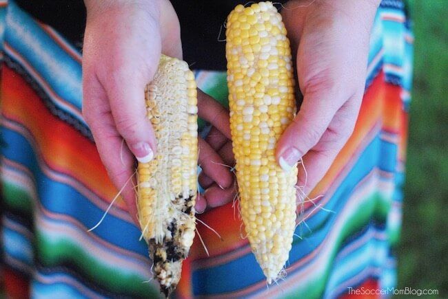 a person holding two corn cobs in their hands