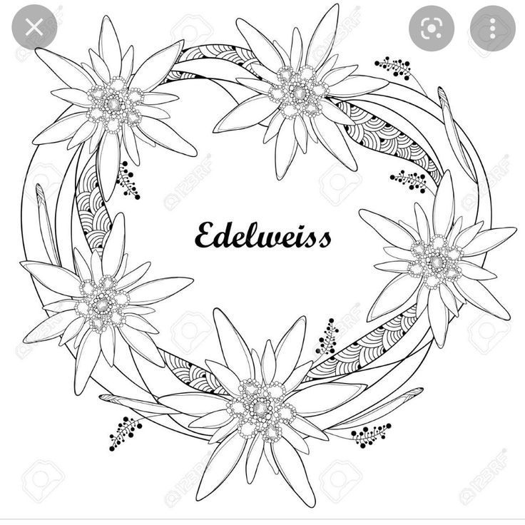 the word edelweis surrounded by flowers and leaves in a circle on a white background