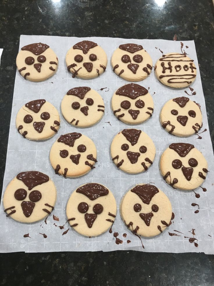 the cookies have been decorated to look like cats