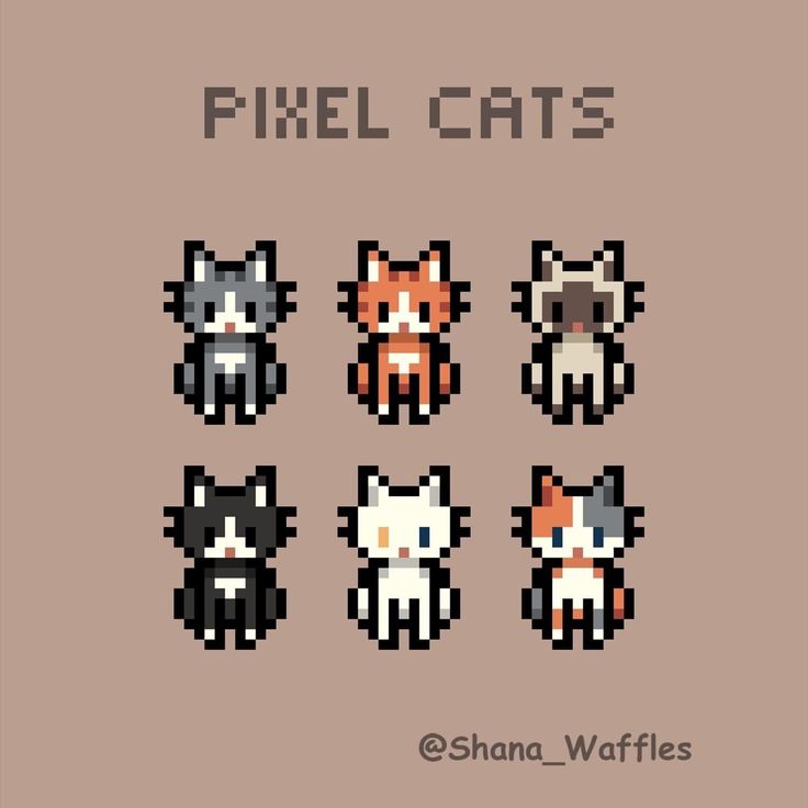 pixel animals are shown in different sizes and colors, with the words pixel cats above them