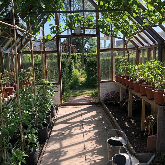 the inside of a greenhouse with many potted plants