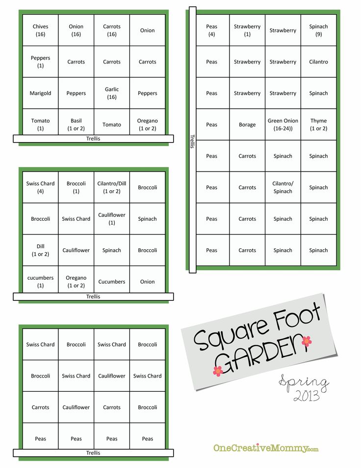 four square foot garden plans are shown in green and white, with the words square foot garden