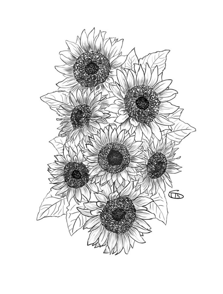 a bunch of sunflowers that are drawn in black and white on a white background