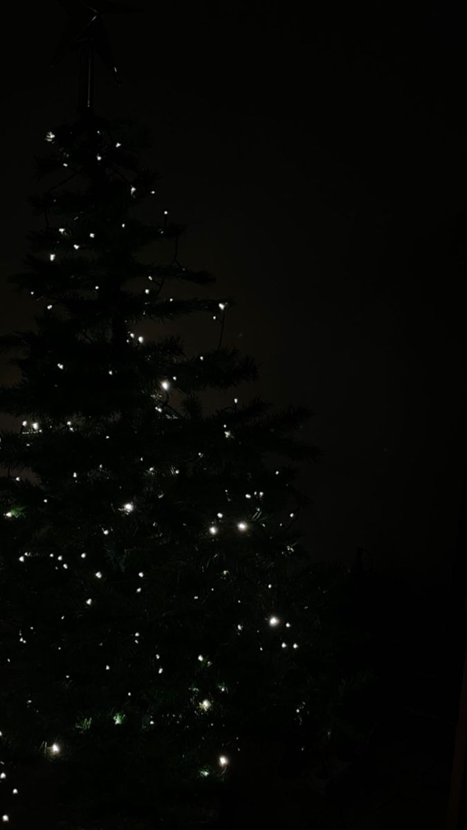 a lit up christmas tree in the dark