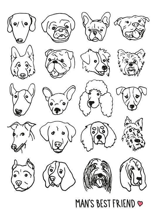 a set of dog faces drawn in black and white with the words man's best friend