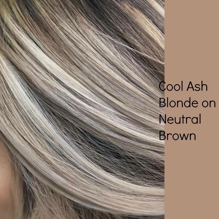 Platinový Blond, Grey Transition, Cool Ash Blonde, Ash Blonde Hair Colour, Long Shag, Chunky Highlights, Ashy Blonde, Ash Blonde Highlights, Blond Balayage