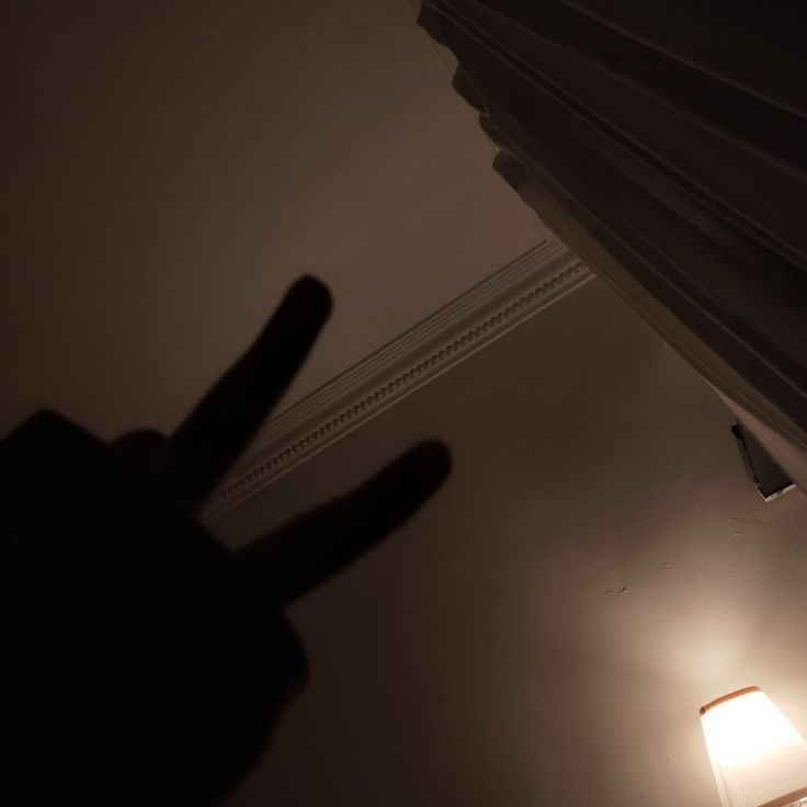 a person's hand is pointing at the ceiling light in their bedroom, with only one finger visible