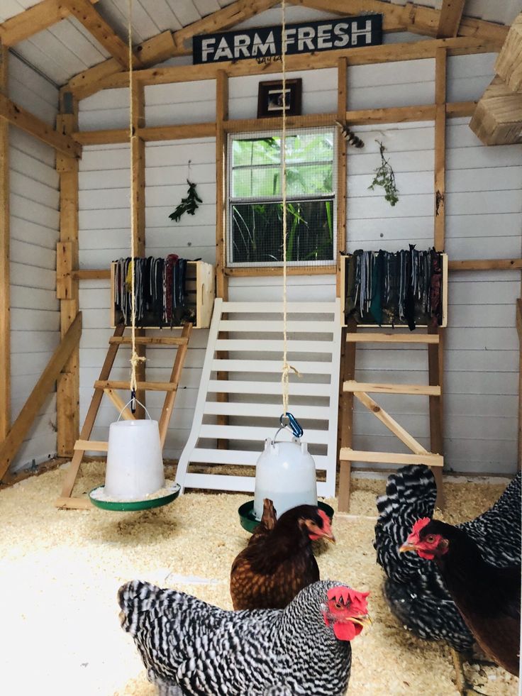 several chickens in a small coop with a sign on the wall that says farm fresh