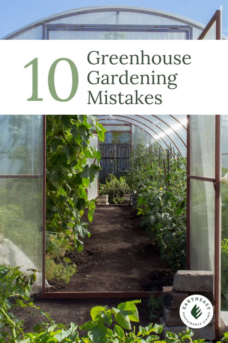 an image of greenhouse gardening with the title 10 greenhouse gardening mistakes