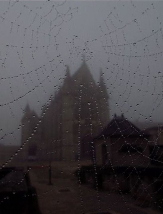 raindrops on the glass of a window with an old building in the background