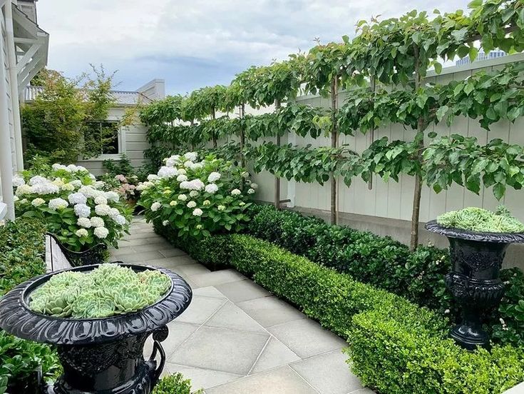 an outdoor garden area with plants and benches