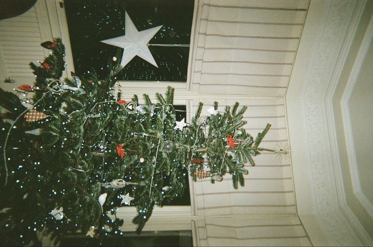 a christmas tree in front of a window with a star on the wall above it