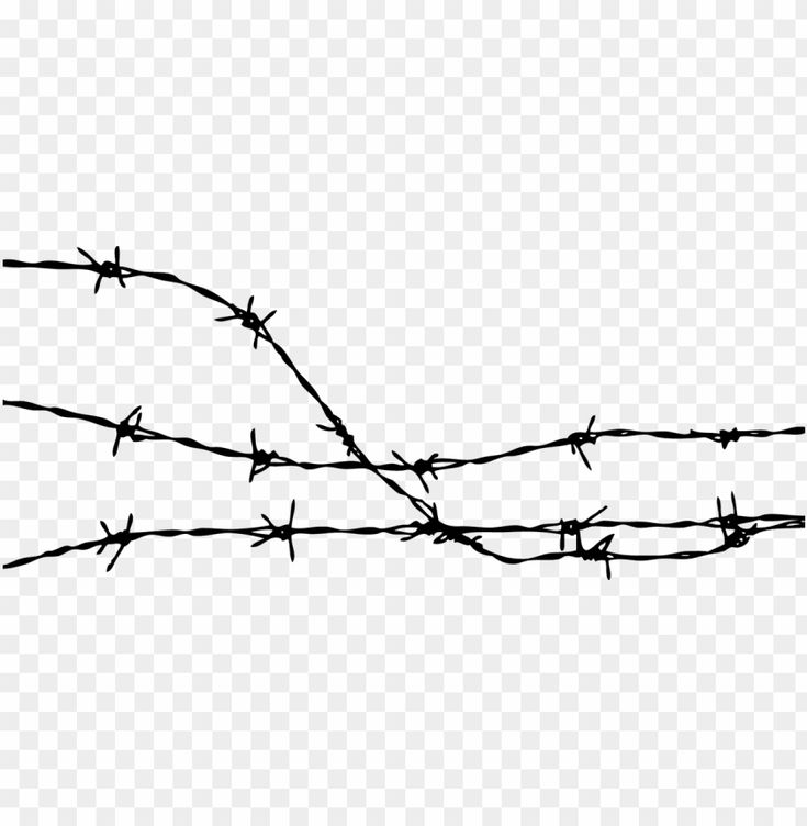 barbed wire on a white background png