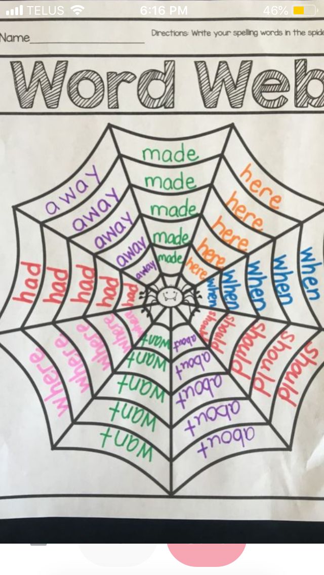 a spider web with words written on it