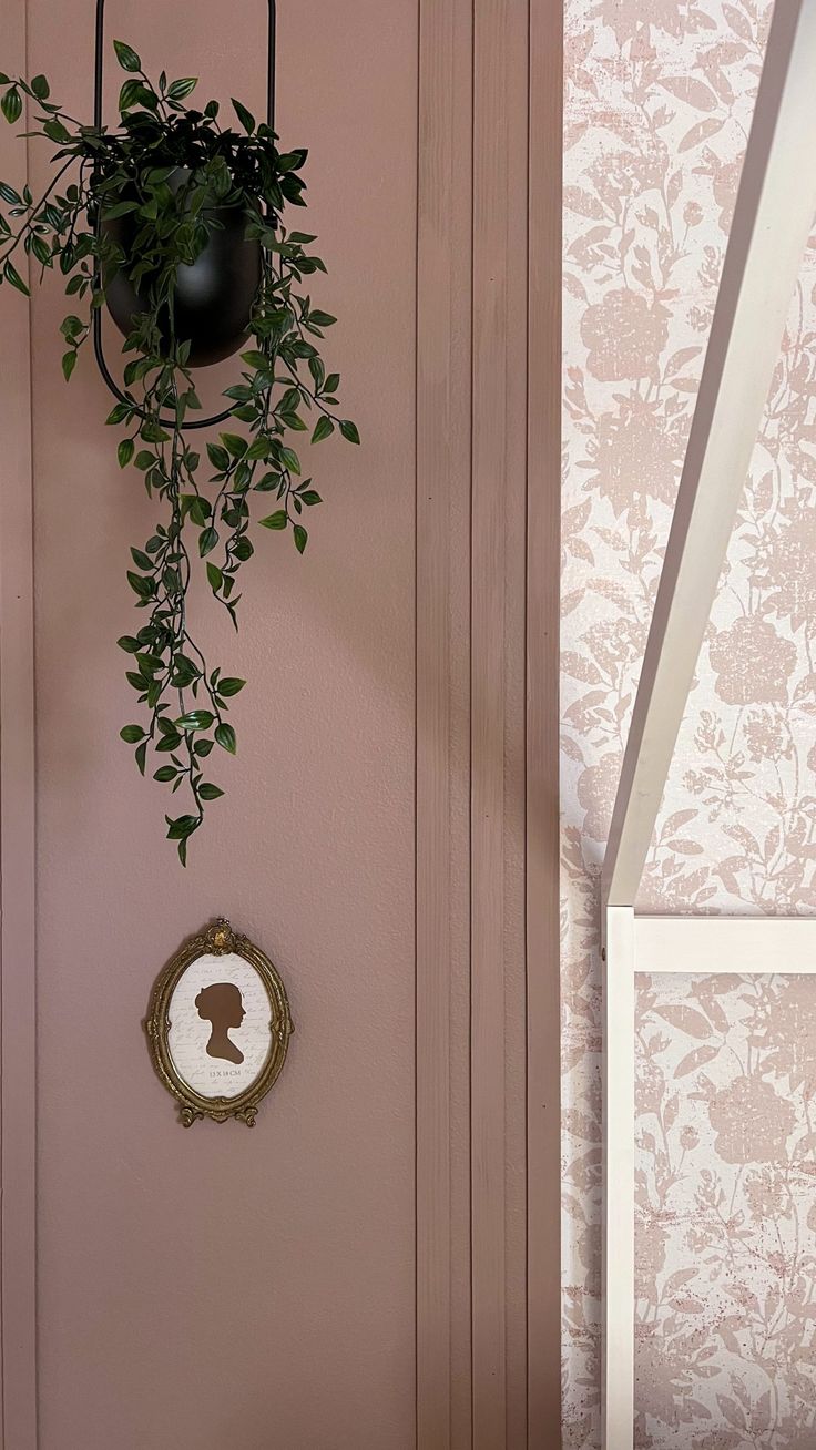 a potted plant hanging from the side of a pink wall next to a mirror