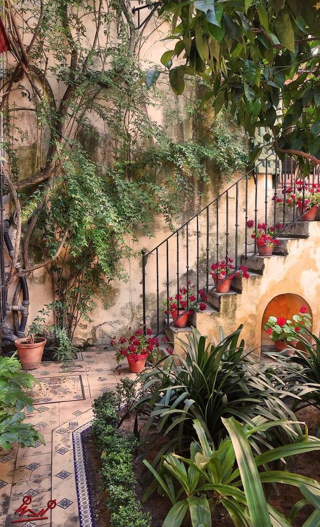 an outdoor area with potted plants on the side and stairs leading up to it