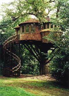 a tree house built into the side of a large tree in a field with grass and trees around it