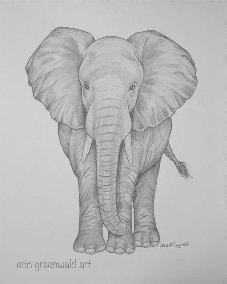 an elephant is shown in this drawing