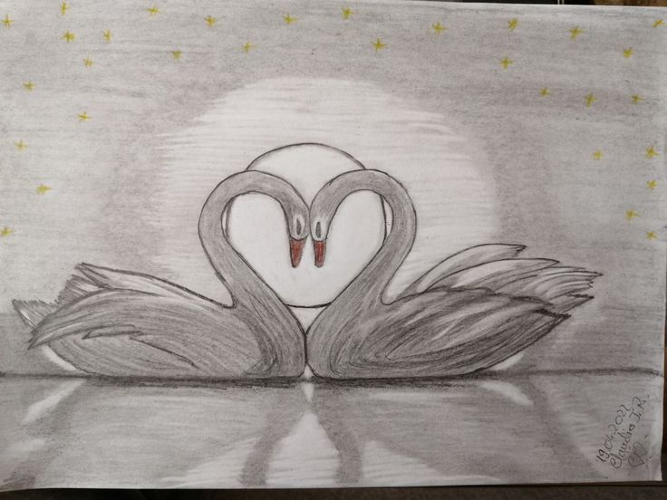 a drawing of two swans making a heart shape