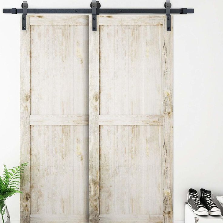 pair of white wooden doors with black hardwares in front of a potted plant