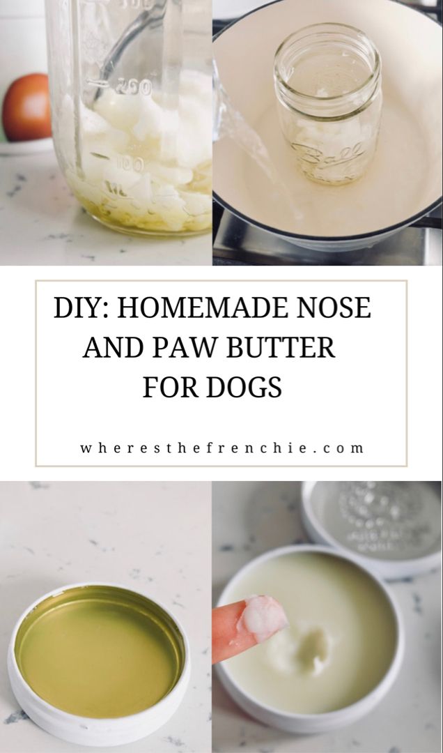 Homemade nose and paw butter for dogs Dog Soap Diy, Dog Paw Pad Moisturizer, Dog Paw Balm Recipe, Diy Dog Nose Balm, Dog Paw Moisturizer Diy, Diy Dog Grooming Products, Things To Make For Dogs To Sell, Dog Paw Moisturizer, Dry Dog Paws