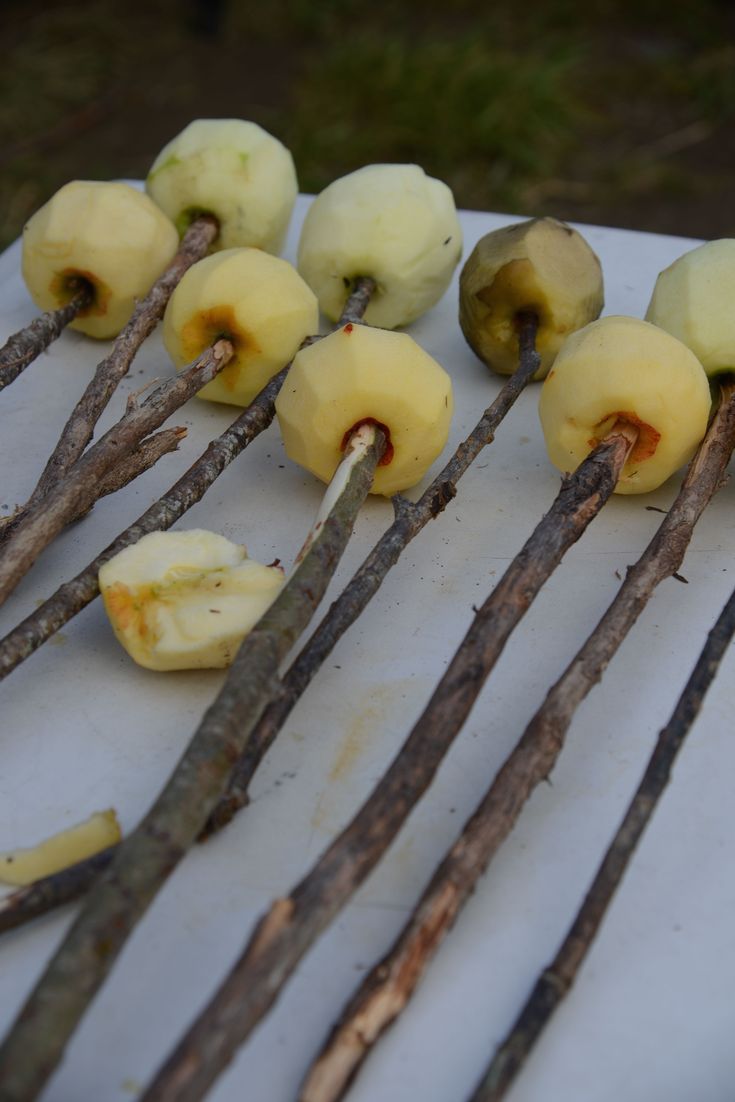 several pieces of fruit sitting on sticks next to each other, with the peels still attached