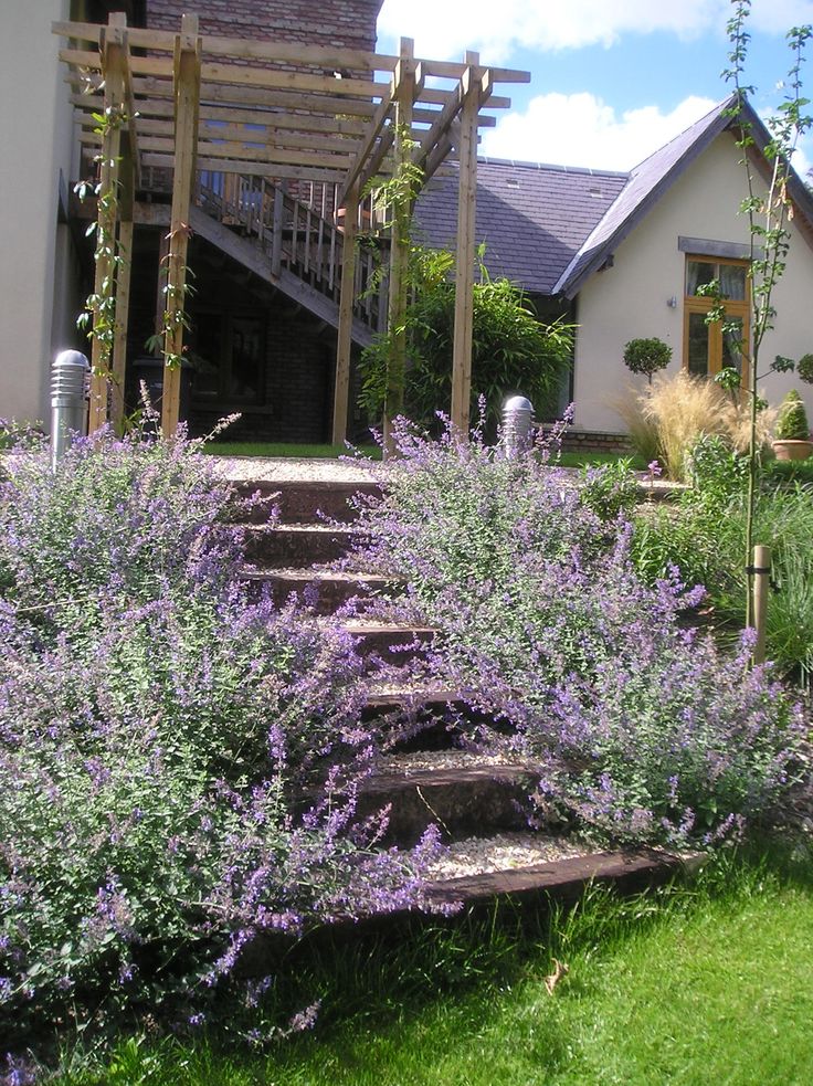 purple flowers are blooming in front of a house with steps leading up to it