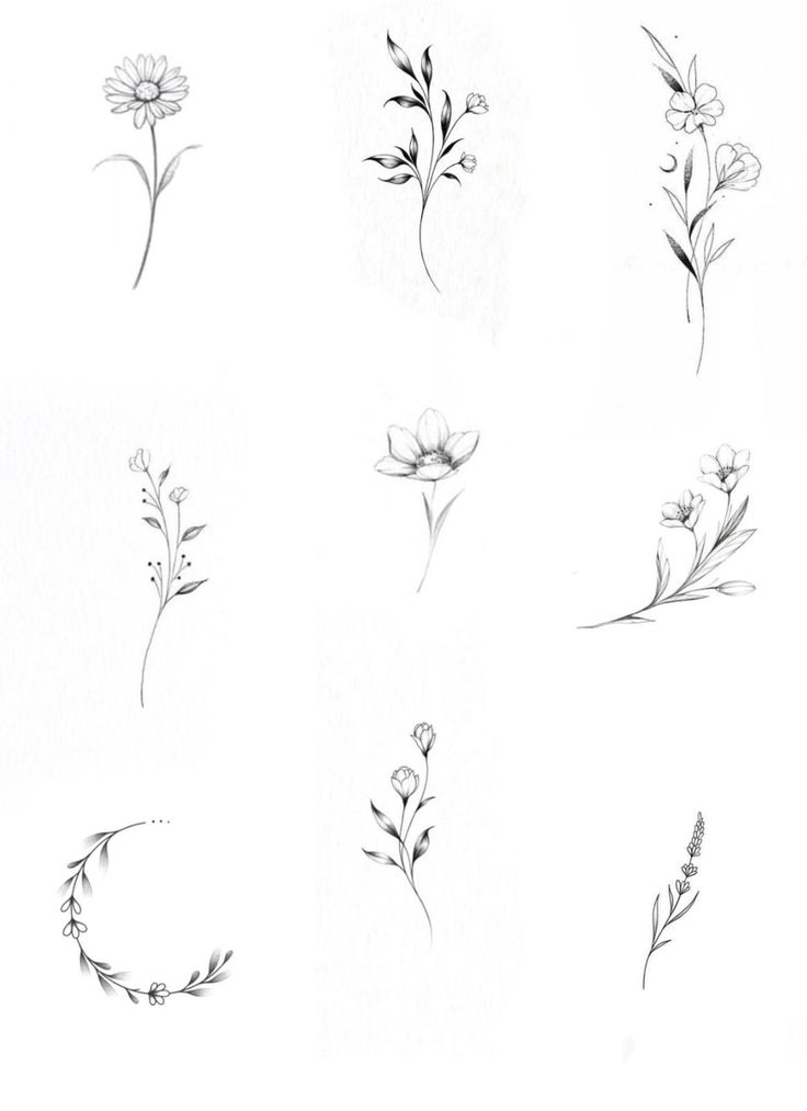 six different types of flowers are shown in black and white