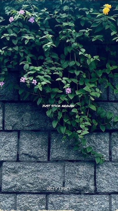 flowers growing on the side of a brick wall with green leaves and purple flowers in it