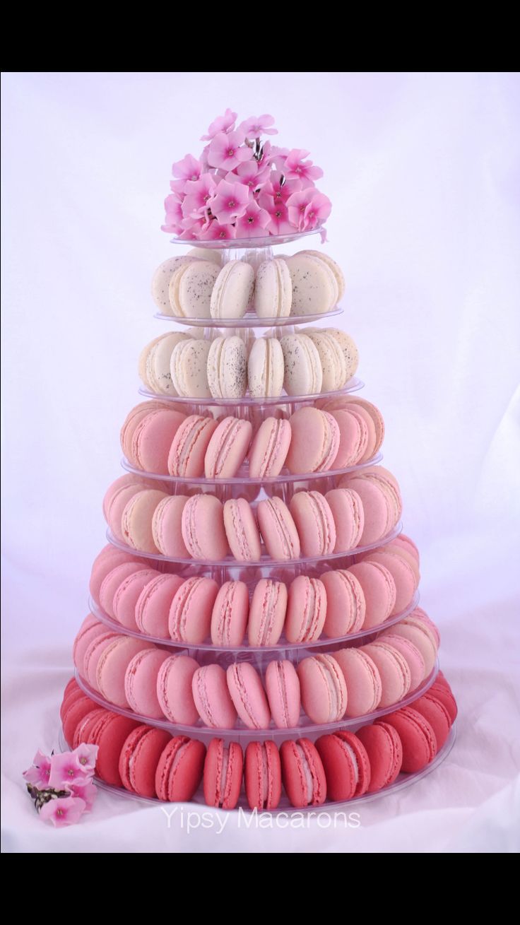 a stack of macaroons and pink flowers on top of each other in front of a white background