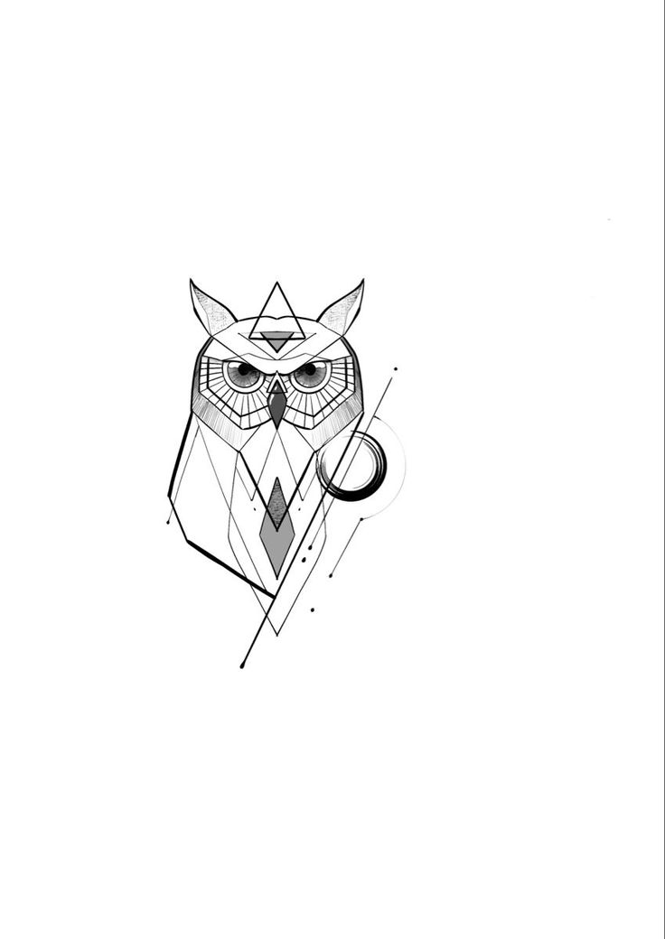 an owl with a geometric pattern on its head and eyes is shown in the shape of a triangle