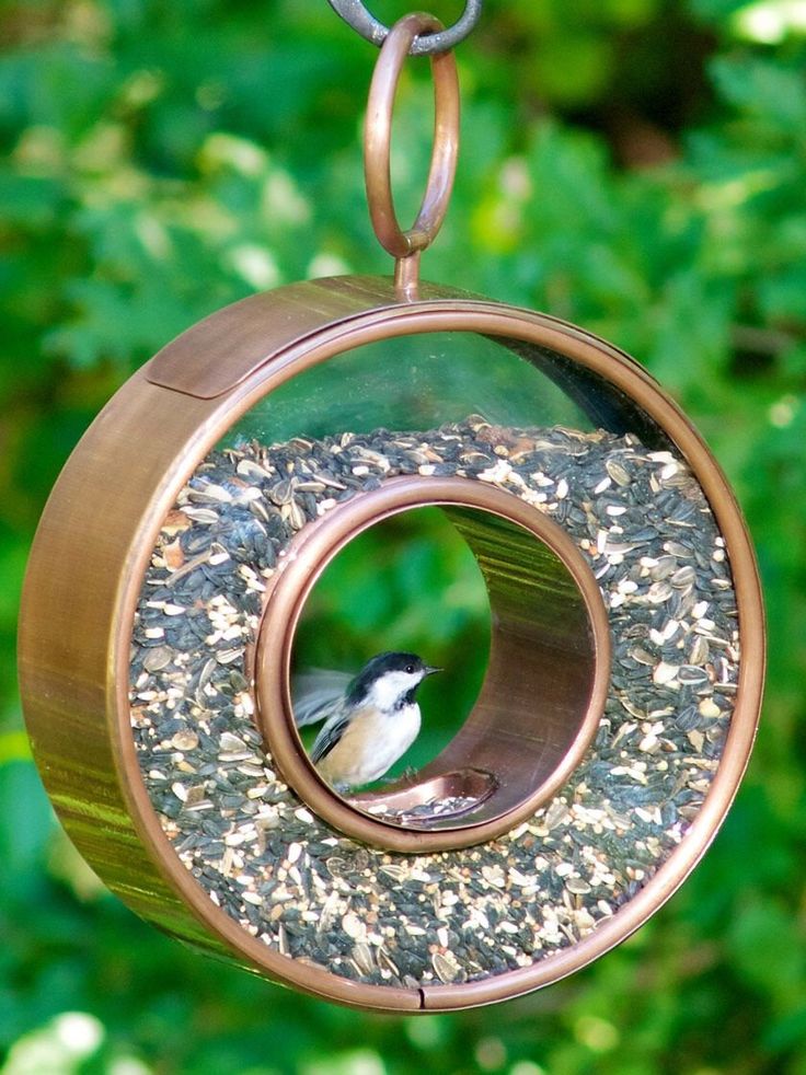 a bird feeder hanging from a metal chain