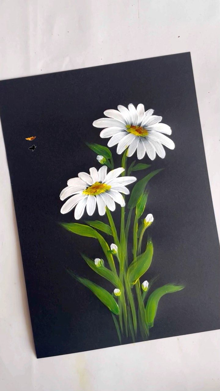 some white daisies on a black background with a butterfly in the sky behind them