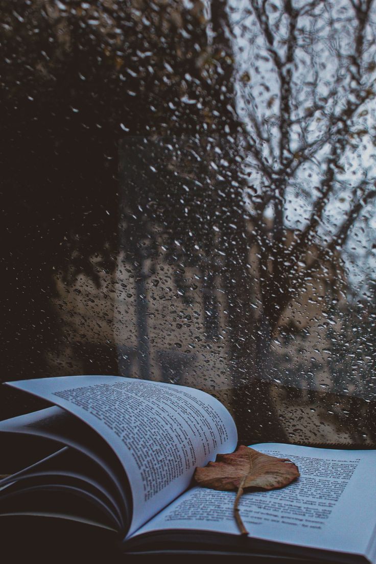 an open book sitting on top of a window sill next to a rain covered tree