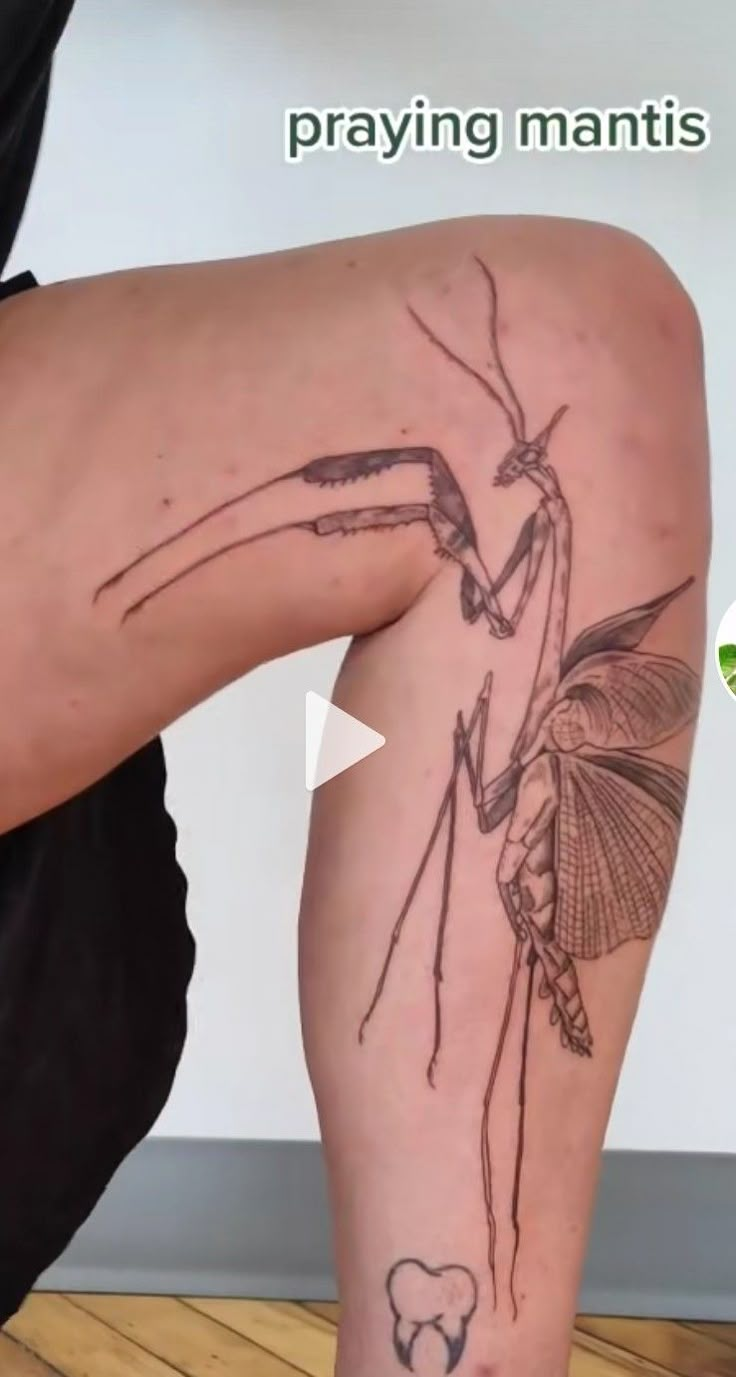 a woman's leg with a tattoo on it and an image of a praying mantis