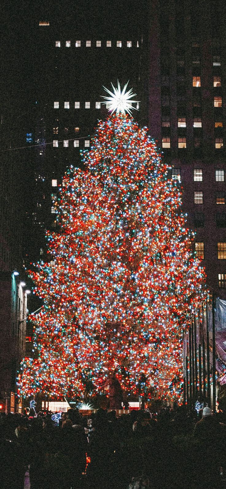 a large christmas tree in the middle of a city at night with lights on it