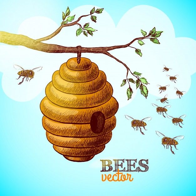 a beehive hanging from a tree branch with bees flying around