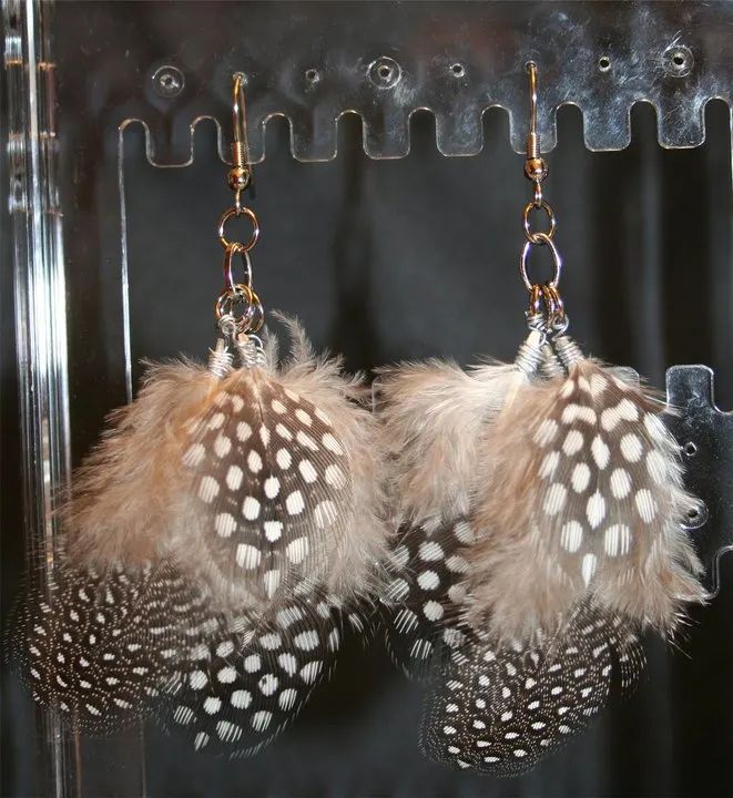 two pairs of feathers hanging from hooks on a metal rack in front of a black background