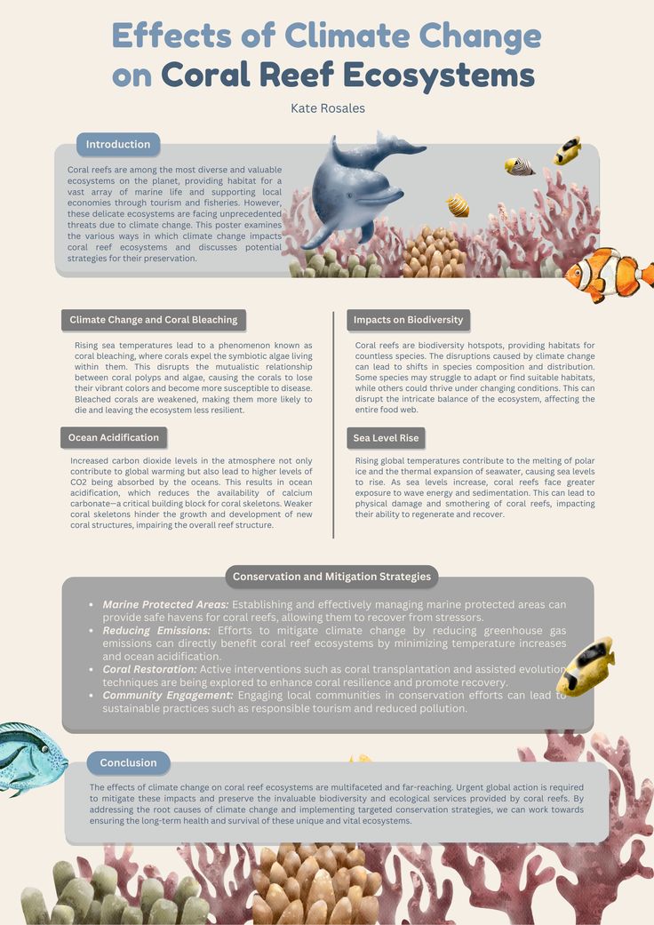 Chemistry Research Poster, Graphic Design Informational Poster, Academic Infographic, Academic Poster Design Ideas, Research Poster Ideas, Panel Discussion Poster, Research Project Poster, Research Poster Design Layout Ideas, Research Poster Design Layout