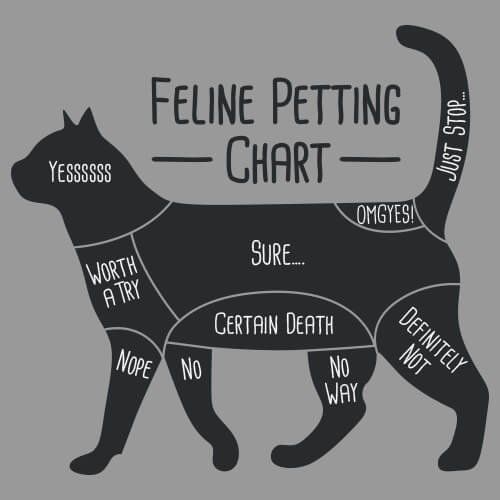 a diagram of the feline petting chart on a gray background with words in different languages