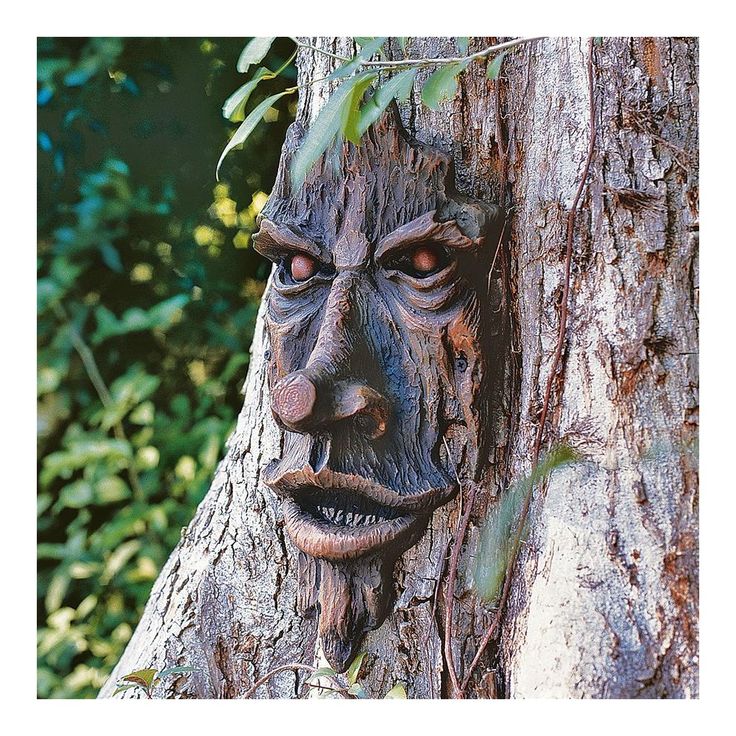 a tree with a face carved into it