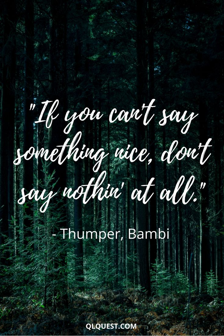 the quote if you can't say something nice, don't say nothing at all