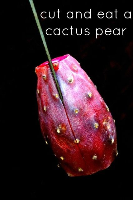 a close up of a flower with the words cut and eat a cactus pear on it