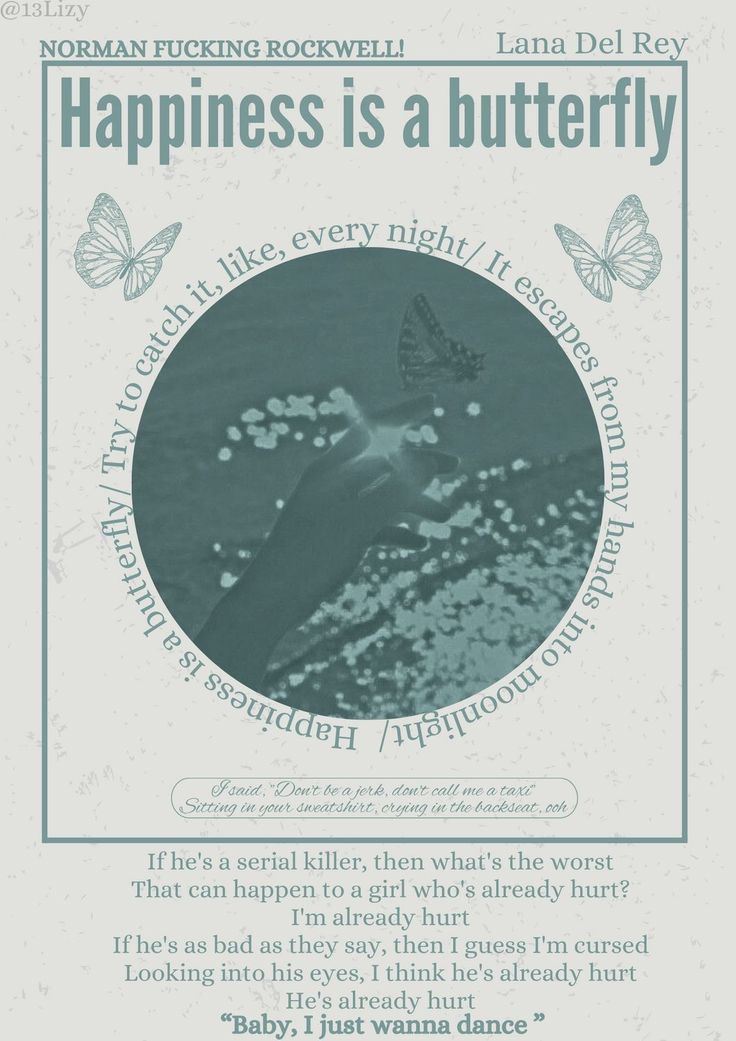 a poster with the words happiness is butterfly on it