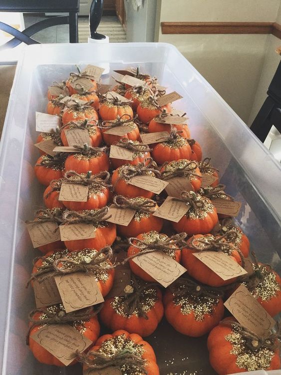 many small pumpkins in a plastic container with tags on them and some dried herbs