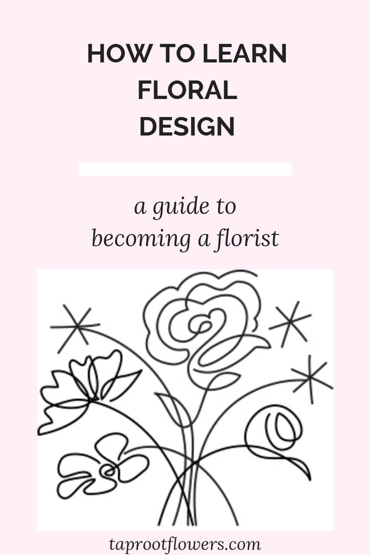 flowers 101, a guide to cut flower care by taprootflowers com