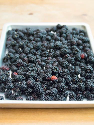 fresh blackberries in a square white dish on a wooden table