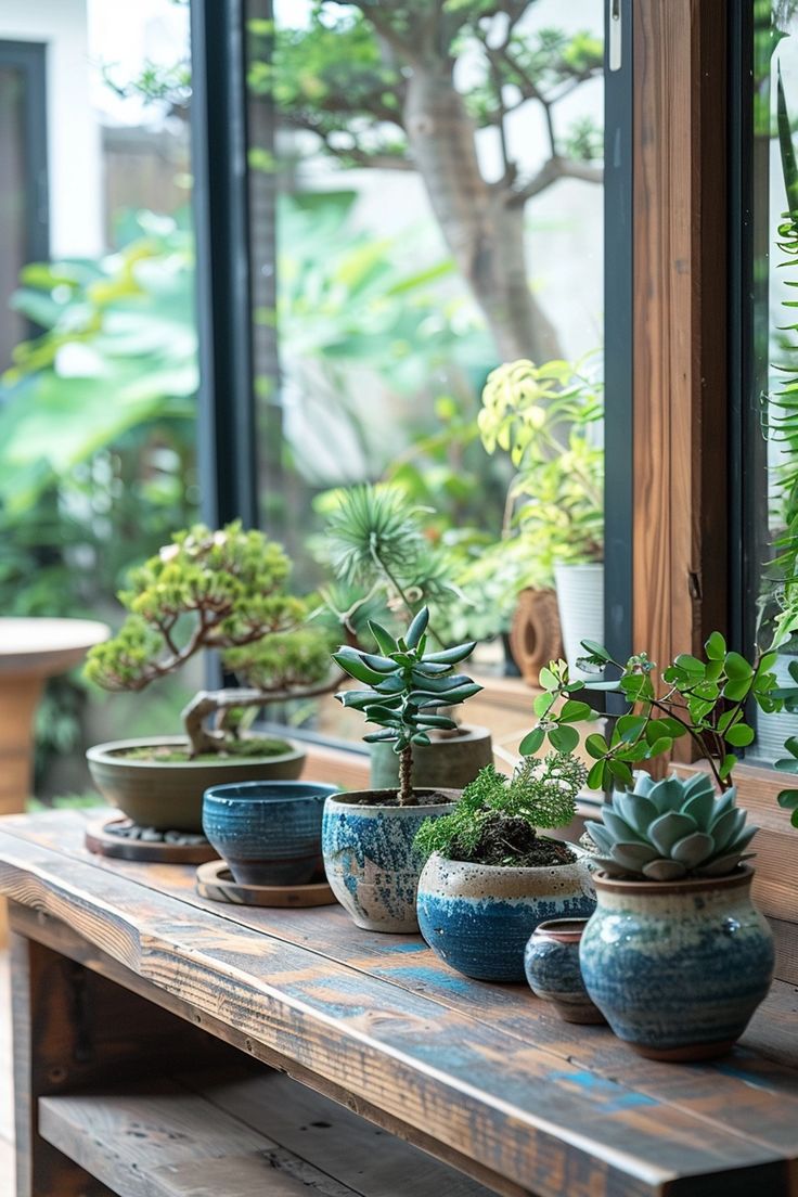 there are many potted plants sitting on the table in front of the glass window