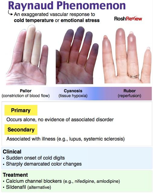 the different types of fingers and their functions