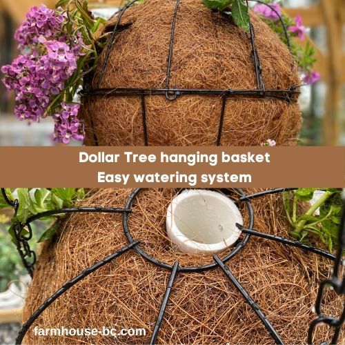 a planter made out of hay with flowers on top and the words dollar tree hanging basket easy watering system